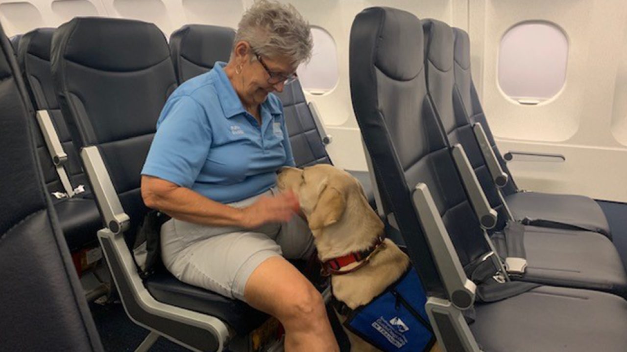Support animal travel planning and preparation guide image