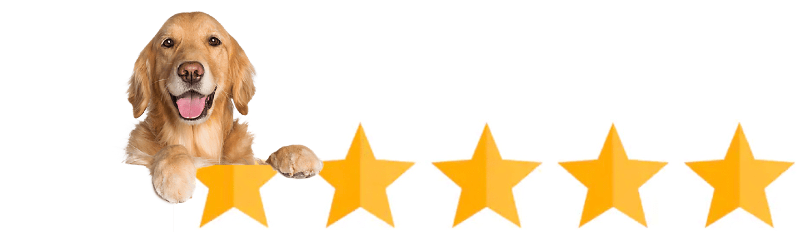 Five star ratings for TheraPetic® services