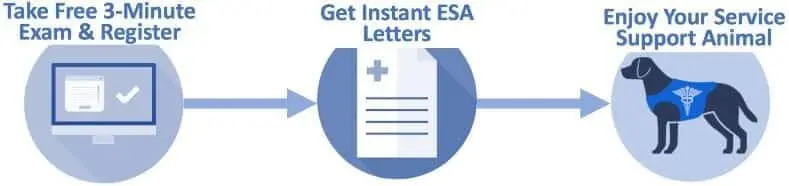 Three steps: Apply, Consult, Get Documented Guidance