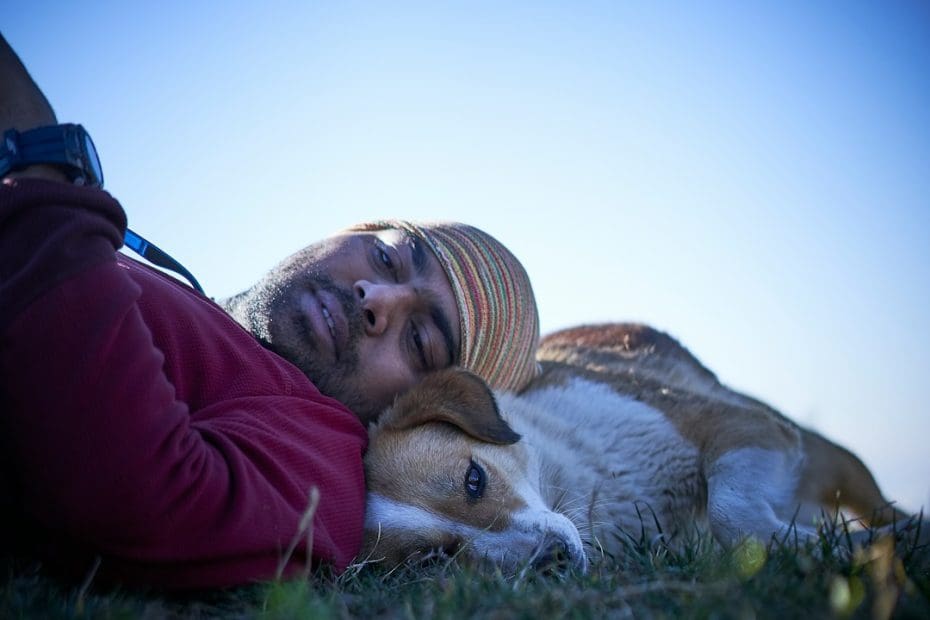 depression support animal — Depression and Support Animals: How the Bond Actually Heals