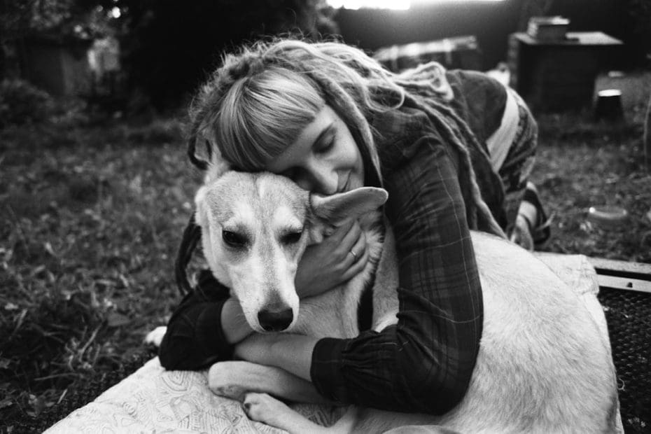 PTSD service dog — 7 Life-Changing PTSD Service Dog Tasks That Transform Daily Living