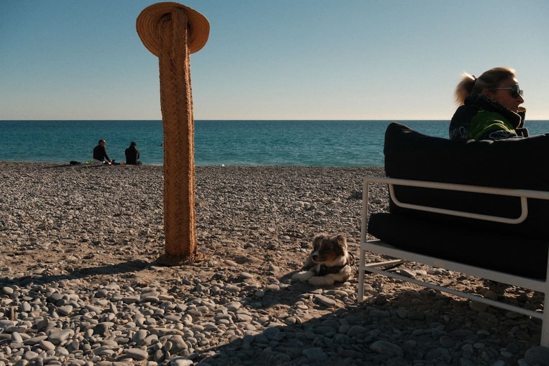 sleep disorders. A woman and dog relax on a sunny pebble beach.