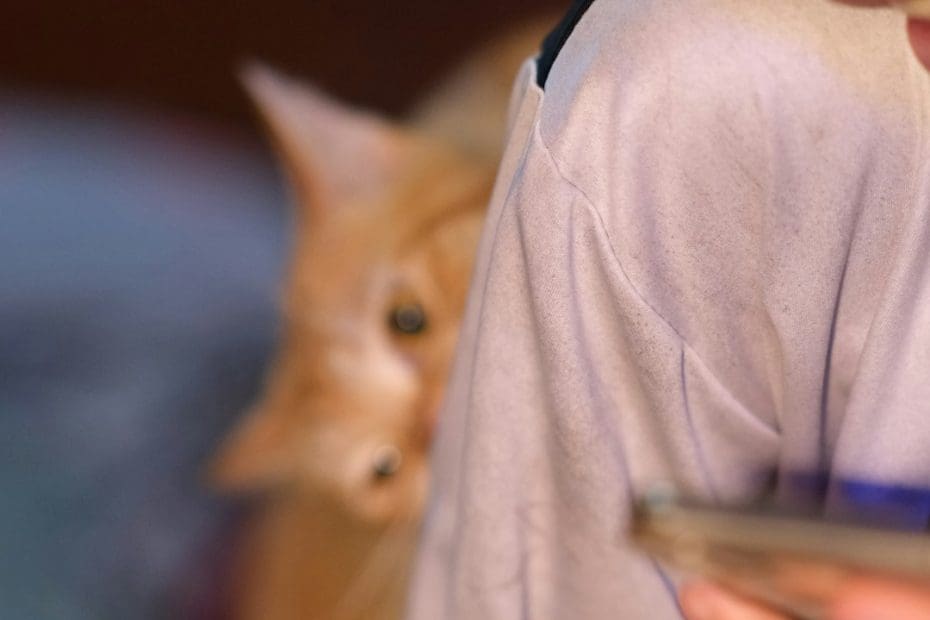 PTSD service dog — PTSD and Service Dogs: How Trained Tasks Change Lives