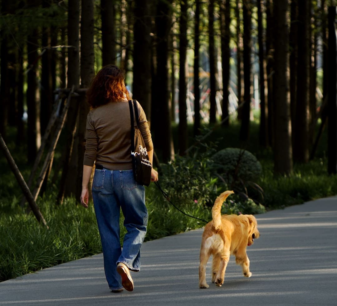 support animal health — Woman walks dog on path through trees