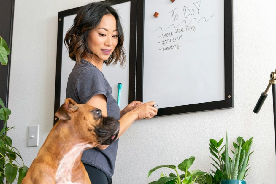 choosing the right support animal — Choosing the Right Support Animal: Dogs, Cats, and Beyond