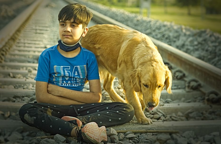 support animal — Grief and Loss: How a Support Animal Eases the Hardest Hours