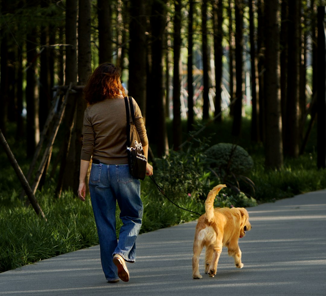 travel wellness — Woman walks dog on path through trees